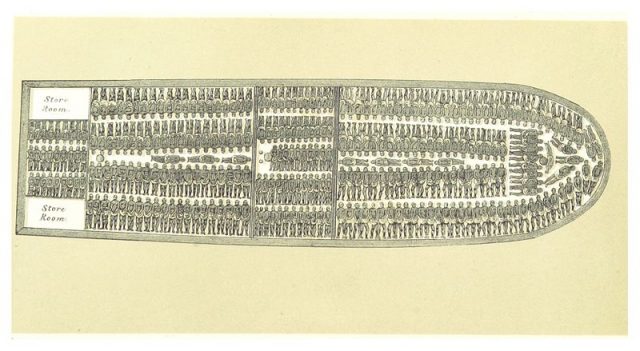 Slave ship diagram