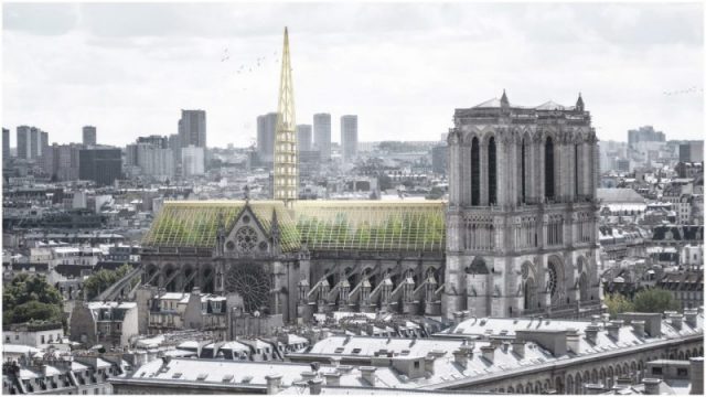 Notre Dame restoration