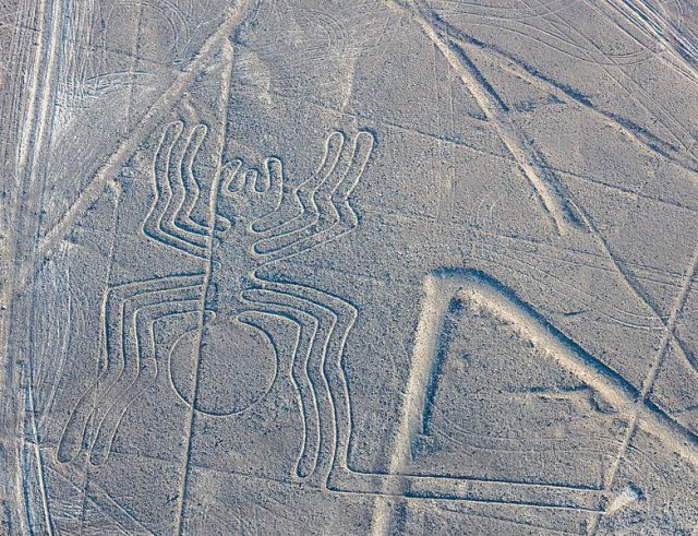 Nazca lines spider