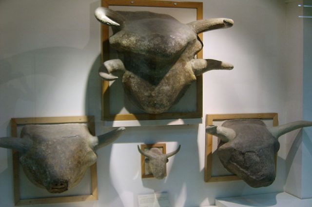 Catalhoyuk auroch's heads