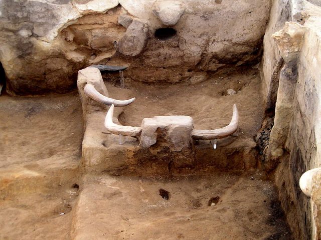 Catalhoyuk auroch's heads