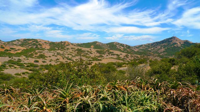 Catalina Island