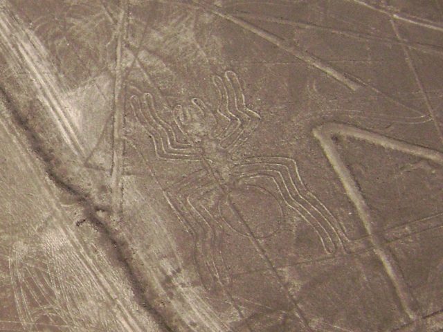 Nazca lines spider