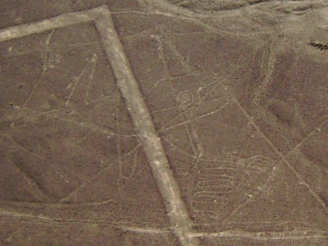 Nazca lines whale