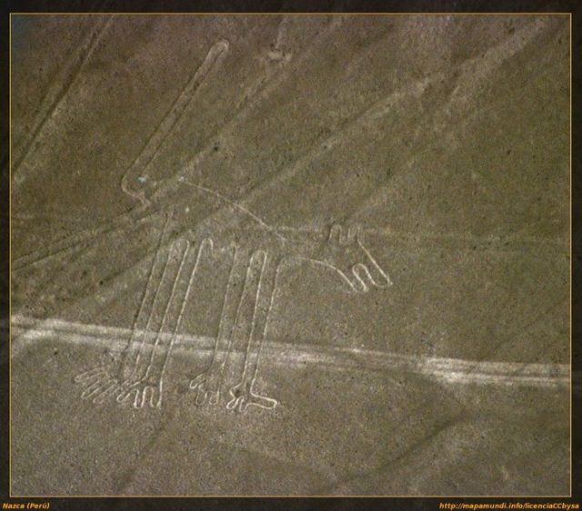 Nazca lines dog