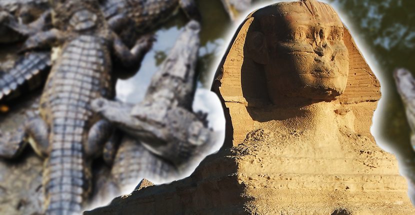 PYRAMIDS SPHINX ♔♔ COPPER PLATED BAR CROCODILE ♔♔ EGYPT 