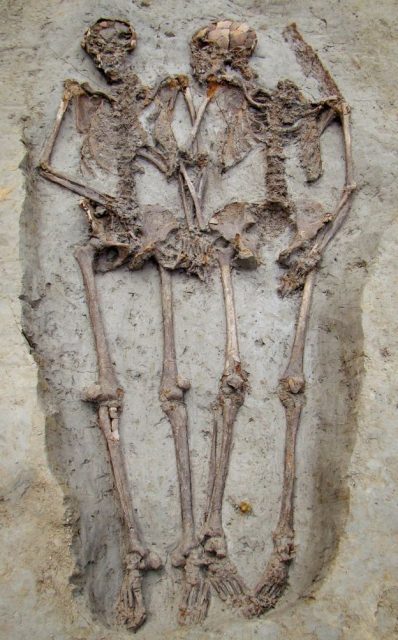 Lovers of Modena skeletons