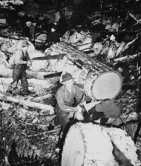 Japanese-Canadian loggers