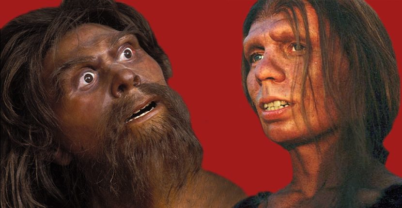 Neanderthal love