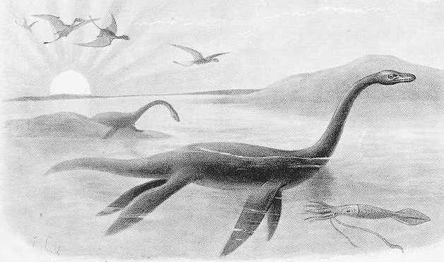 Plesiosaurus