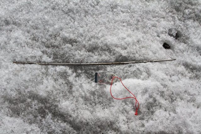 Iron Age arrow shaft Norway