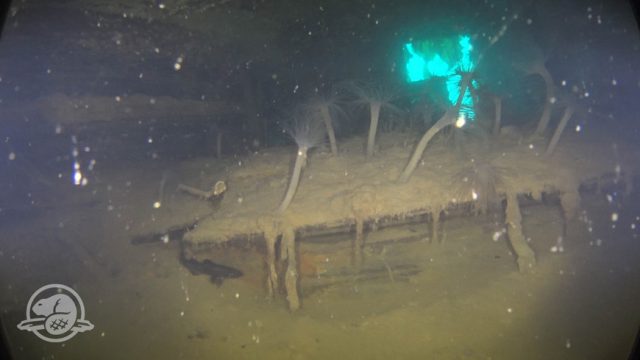 Franklin expedition shipwreck