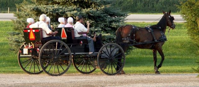 Amish 