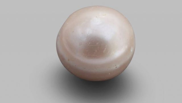 world's oldest pearl