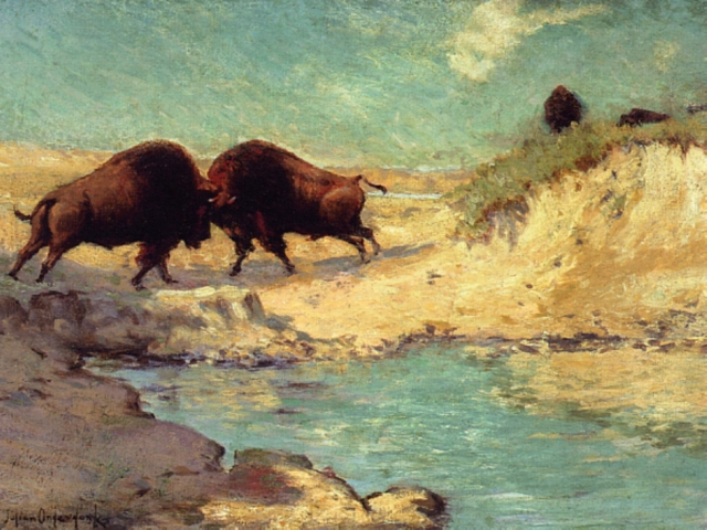 Painting of two buffalos