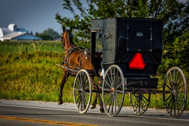 Amish buggy