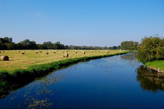 Tollense river