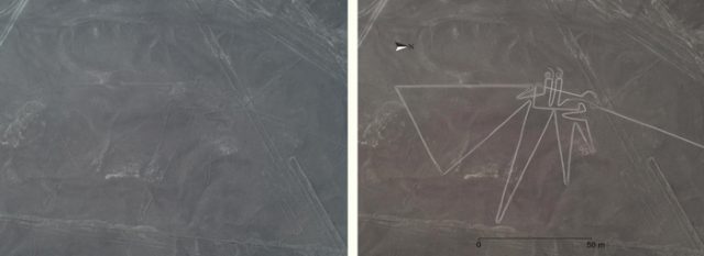 Nasca lines