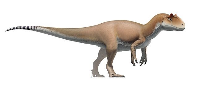 A. Fragilis dinosaur