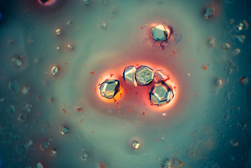 Here's how the Government Decided what Color Your Food Should Be | The ...