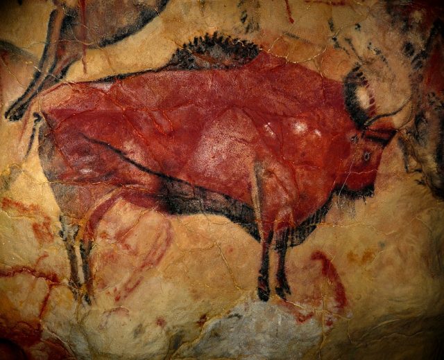 Altamira cave art bison