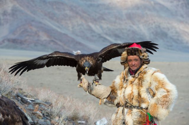 Mongolian eagle hunter