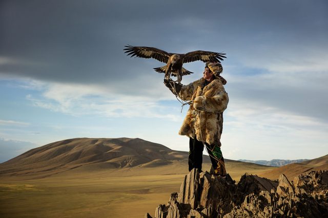 Eagle hunter