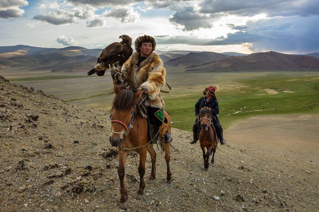 Mongolian eagle hunters