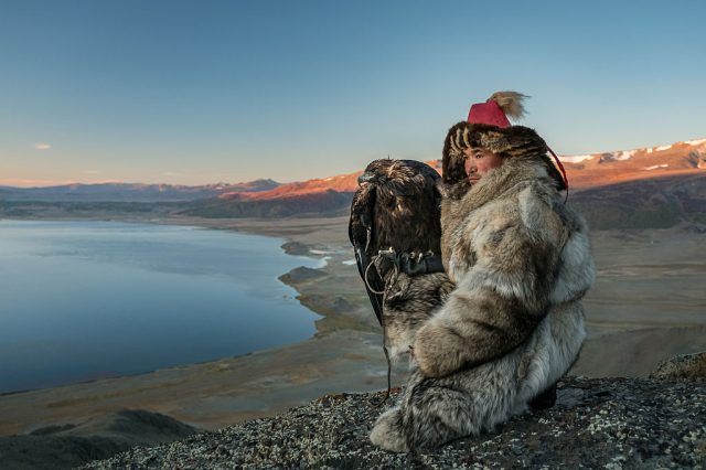 Mongolian eagle hunter