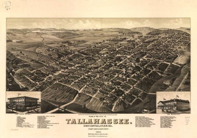 Tallahassee