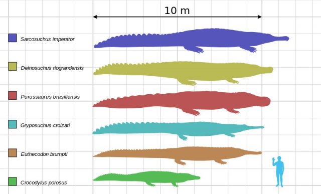 Giant crocodile