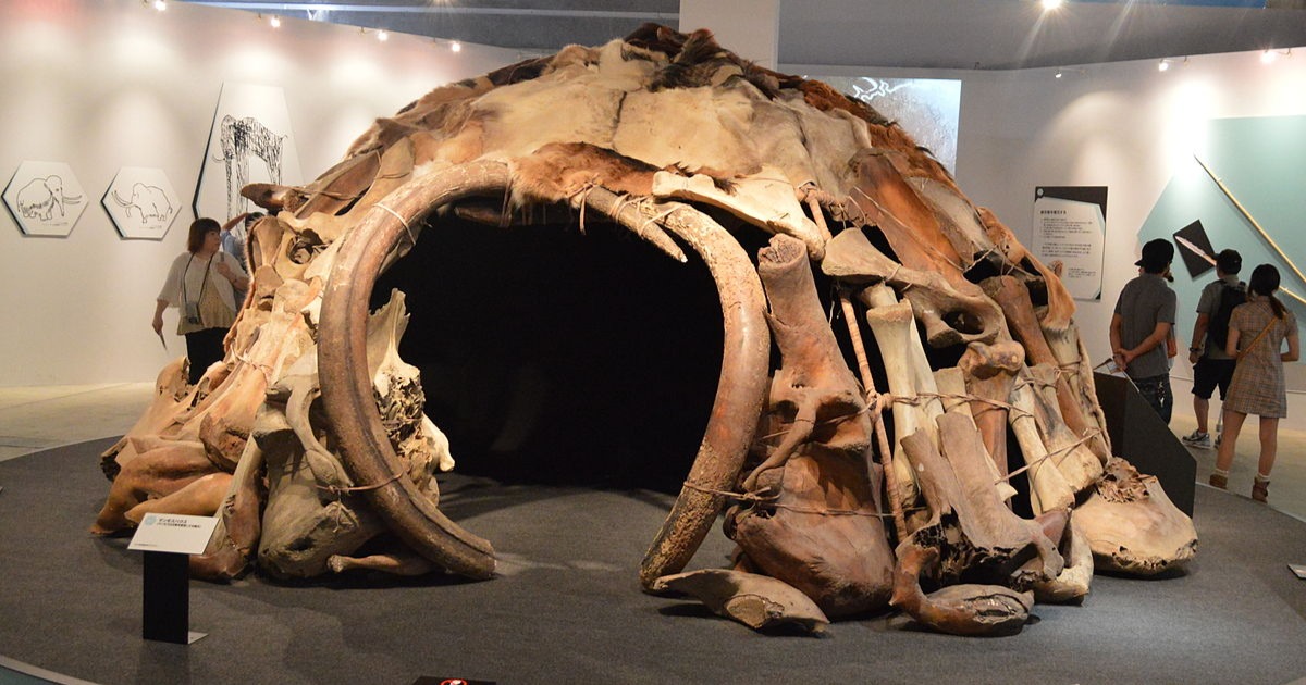 "Mammoth House" as shown at the "Frozon Woolly Mammoth Yuka Exhibit" made with real mammoth fossils (bones and tusks). Image by Nandaro CC by 3.0