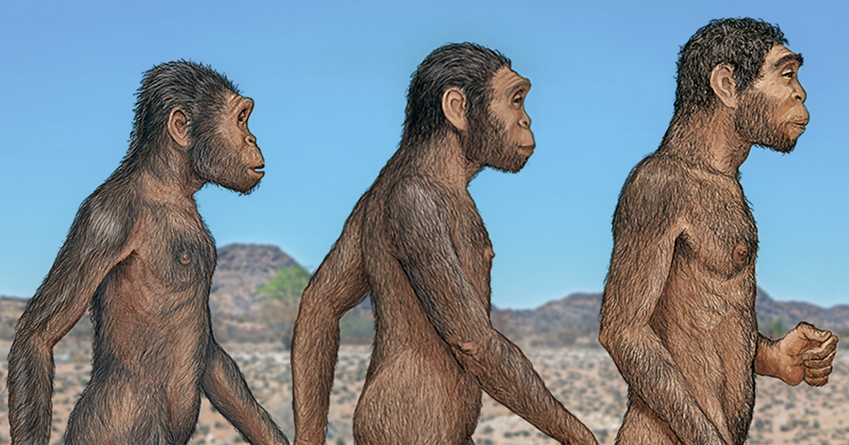 3 kinds of early humans. Getty Images