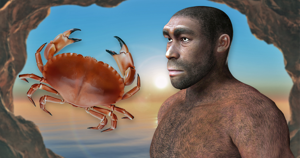 Neanderthals loved seafood. When they see food they ate it.