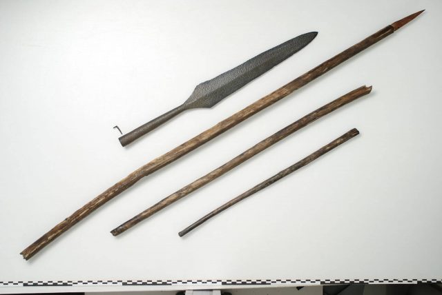 Viking weapons