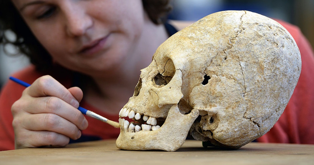 An archaeologist of the National Institute of Preventive Archaeological Researches (Inrap) works on a deliberately deformed skull of a 5th century barbaric elite teenager, on October 30, 2013 in Strasbourg, eastern France. (FREDERICK FLORIN/AFP via Getty Images)