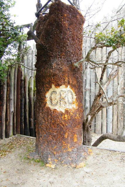 Croatoan tree