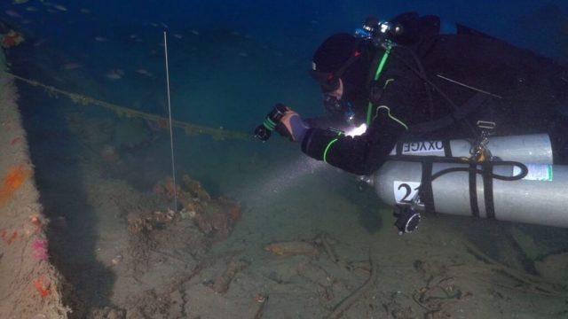 16th century shipwreck