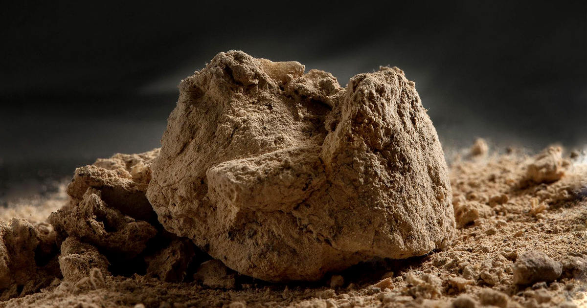 14,000-yr-old coprolite, ancient fossilized poop (Image courtesy of University of Copenhagen, Photo by Cheng Li)