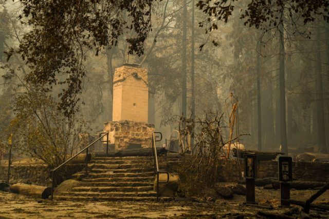 Big basin state park