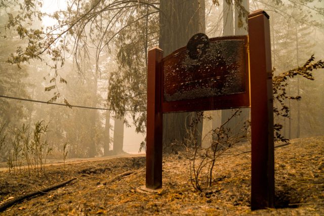 Big basin state park