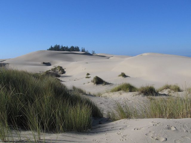 The Oregon Dunes, near Florence, Oregon, served as an inspiration for the Dune saga. Rebecca Kennison – CC BY 2.5