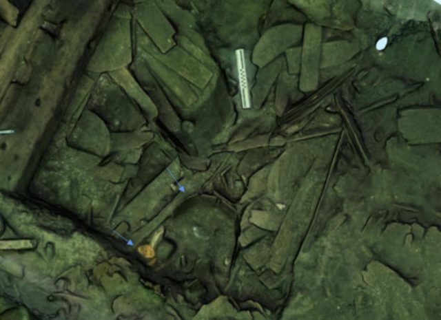 A blue arrow indicates the location of barrel in which scientists found the sturgeon. Image retrieved from the Gribshunden 4D photogrammetric web-based visualization system built by Paola Derudas using 3DHOP.JOURNAL OF ARCHEOLOGICAL SCIENCE