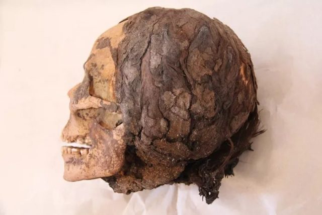 3,300-Year-Old Egyptian Hairstyles Revealed They Wore Extensions!