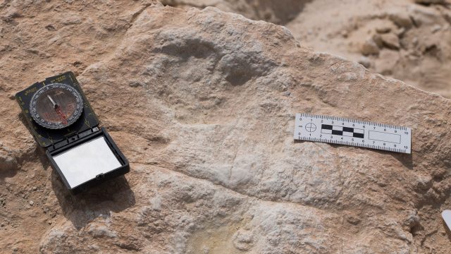This is the first human footprint discovered at Alathar. Credit: Stewart et al., 2020)