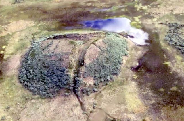 One of the permafrost mound on the Yamal peninsular. Credit: Vasily Bogoyavlensky