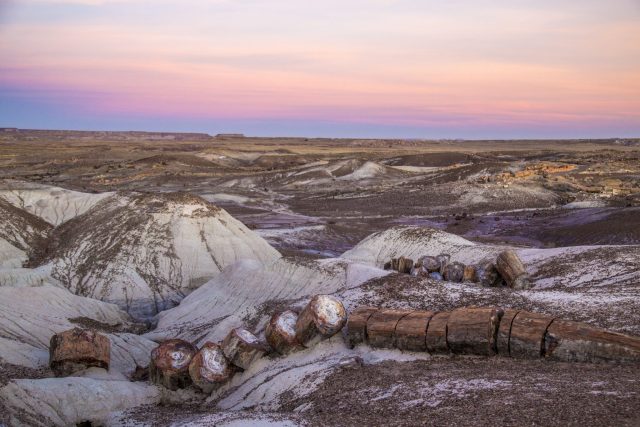 The story of Arizona’s petrified wood started about 225 million years ago during the Late Triassic period,