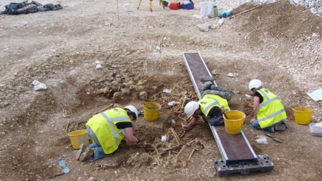 Further data from the bones indicated their upper bodies were particularly well-developed, and consistent with the shape of a rower – so they were possibly the crew from a Viking ship. © Oxford Archaeology