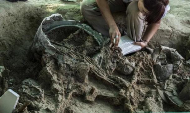 The grave goods in situ being catalogued. (Pierluigi Giorgi / © Antiquity Publications Ltd )