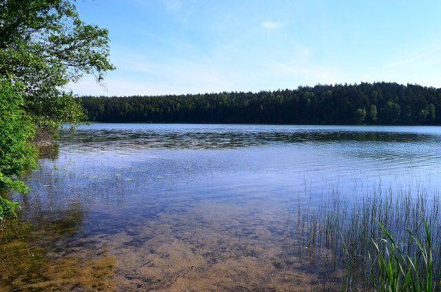 Lake Asveja is the largest lake in Lithuania.